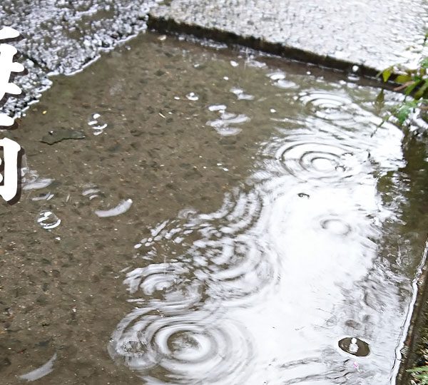 本日、梅雨入りしたそうです