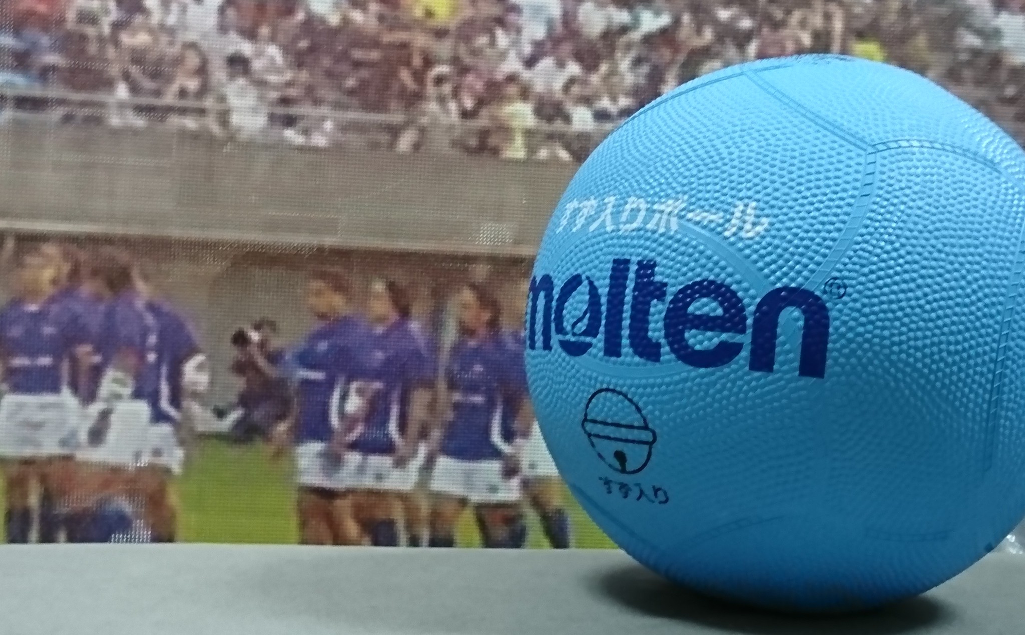 767円 【翌日発送可能】 モルテン molten ブラインドスポーツ すず入りボール G2C2000-SK 767円 【翌日発送可能】 モルテン molten ブラインドスポーツ すず入りボール G2C2000-SK