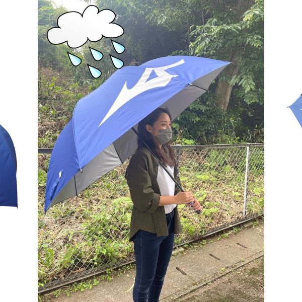 ミズノの傘のご紹介です！