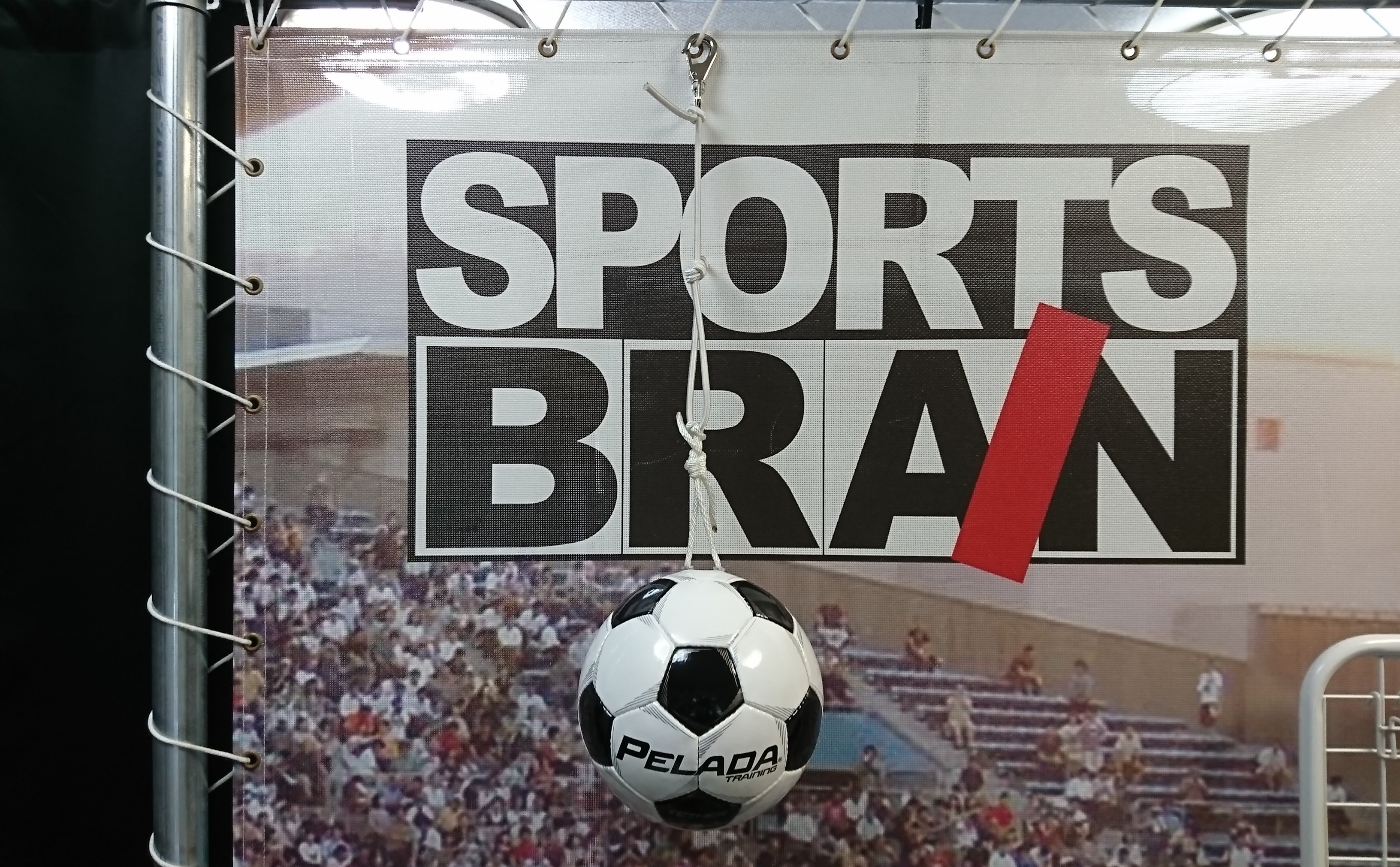 ヘディングトレーニングボールが入荷しました 株式会社スポーツブレイン ヘディングトレーニングボールが入荷しました 株式会社スポーツブレイン